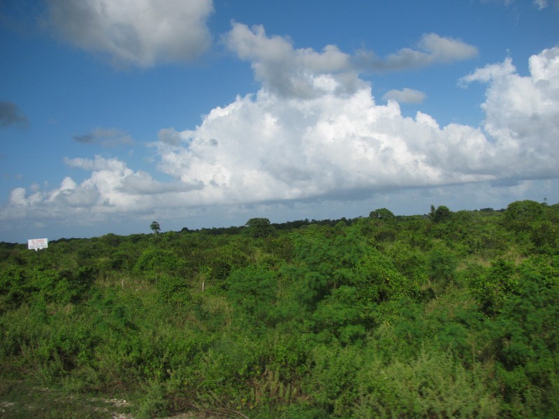 Dominican Republic 034.jpg